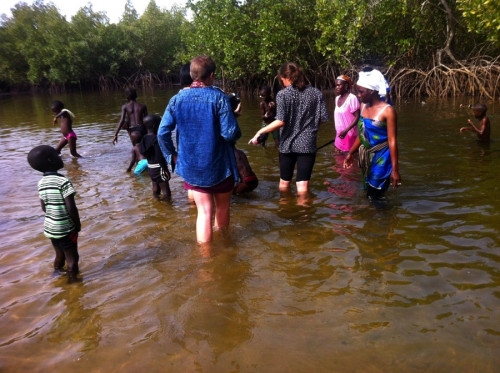 Senegal Abroad Program Participants, Mangrove Protection and Sustainable Oyster Farming in Sangako, Senegal