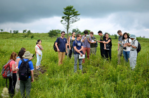 Field research in Nashighara grasslands - Fuji - Summer 2014