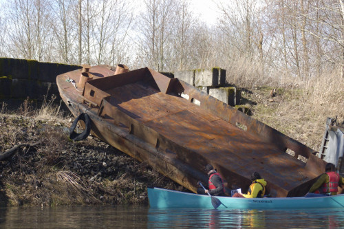 Students discover an old barge on the Columbia River Slough - ENVS 330 - Spring 2014