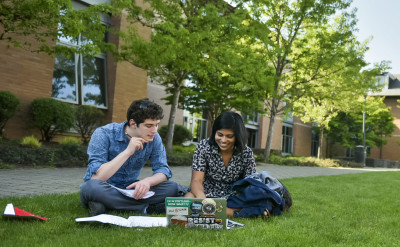 Students studying outside