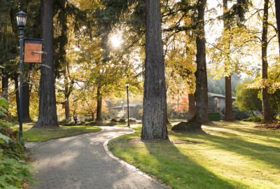 Walking path surrounded by green trees on the L&C undergraduate campus