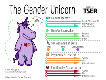 The Gender Unicorn: https://transstudent.org/gender/
