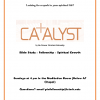 catalyst flyer