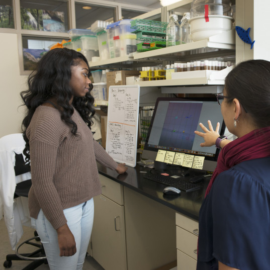 Norma Velazquez Ulloa meeting with a student in the Biology lab.