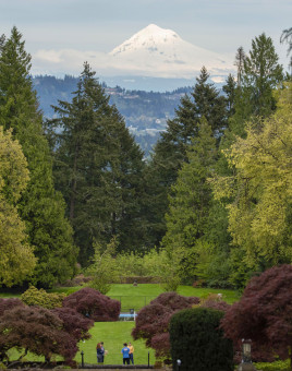 View of Mount Hood from campus