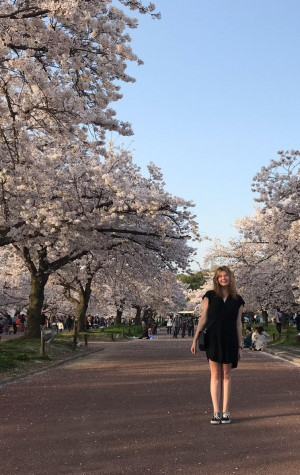 On a sakura walk