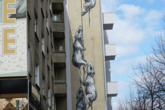 Climbing Rats Graffiti