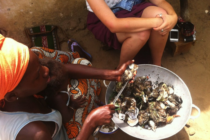 Senegal Abroad Program Participants, Mangrove Protection and Sustainable Oyster Farming in Sangako, Senegal