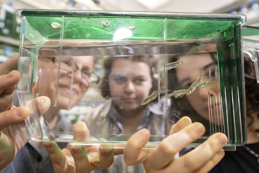 Associate Professor of Biology Tamily Weissman-Unni works with students to label and visualize ce...