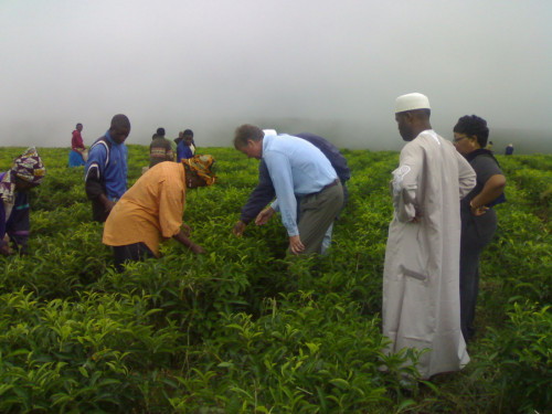 Ambassador Marquardt visiting a tea plantation at Ndawara, Northwest Provice, Cameroon, in 2007.