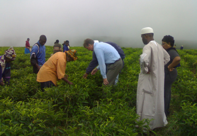 Ambassador Marquardt visiting a tea plantation at Ndawara, Northwest Provice, Cameroon, in 2007.