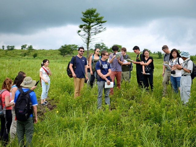 Field research in Nashighara grasslands - Fuji - Summer 2014