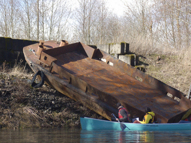 Students discover an old barge on the Columbia River Slough - ENVS 330 - Spring 2014