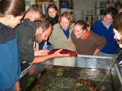 Marine biology students tour the Oregon Institute of Marine Biology with Jule Schultz, Master's candidate and LC bio alum (2001)