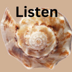 Image of a sea shell and the word Listen.