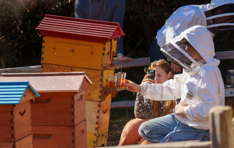 Students are able to gain hands-on experience tending the bee garden and harvesting the honey.