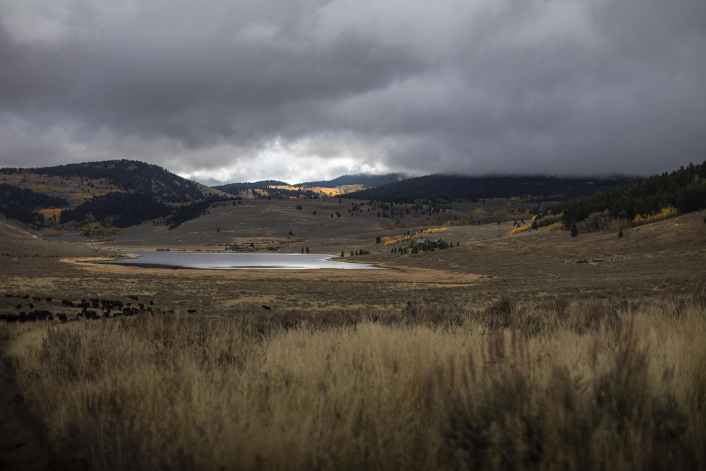 Montana valley with tall grass, a pond, and cloudy sky.