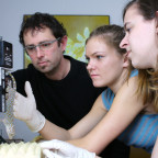 Professor Kellar Autumn working with students
