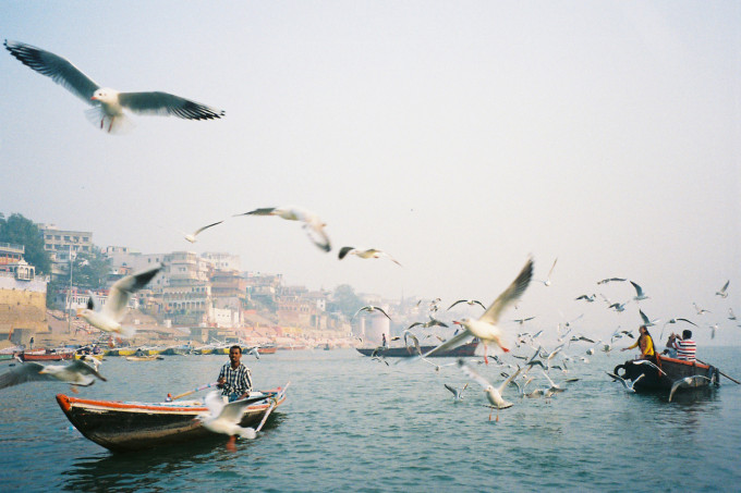 Ella Bock's winning photograph of gulls overhead on the Ganges River.