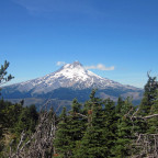 Mt. Hood as seen from Lookout Mountain
